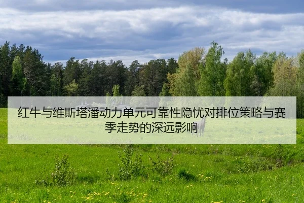 hong-niu-yu-wei-si-ta-pan-dong-li-dan-yuan-ke-kao-xing-yin-you-dui-pai-wei-ce-lve-yu-sai-ji-zou-shi-de-shen-yuan-ying-2-443.jpg